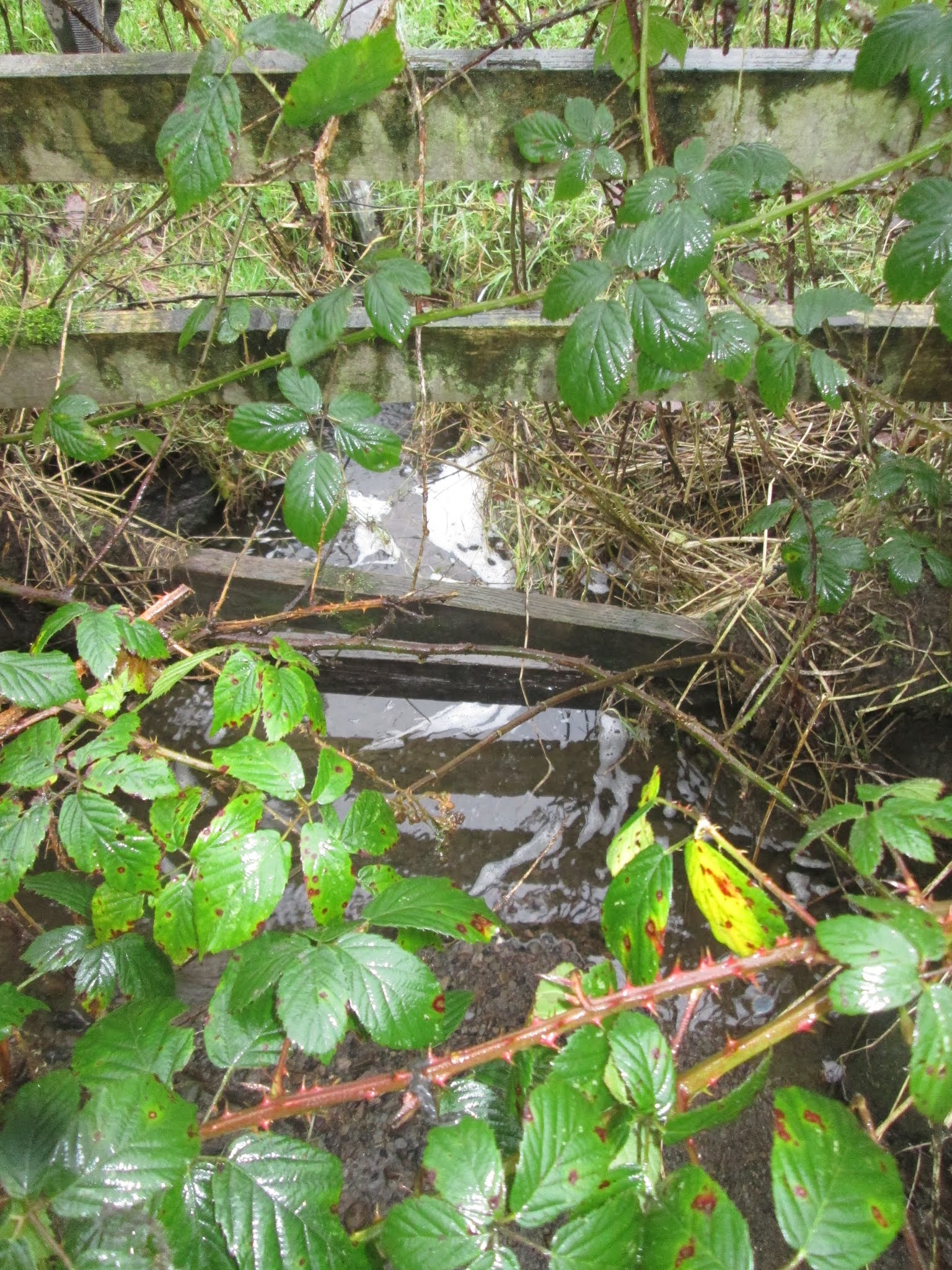 CROWS Rights Of Way Service) TODMORDEN Bean Hole