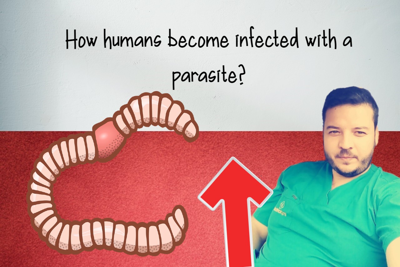 How To Use Turmeric For Worms?