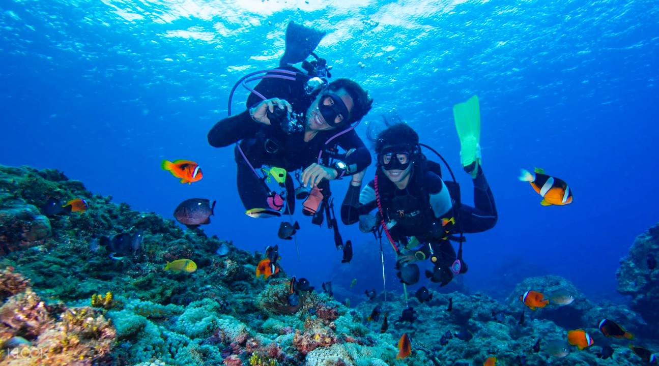 Scuba Diving In Goa The Best Place For Scuba Diving With Best Visibility