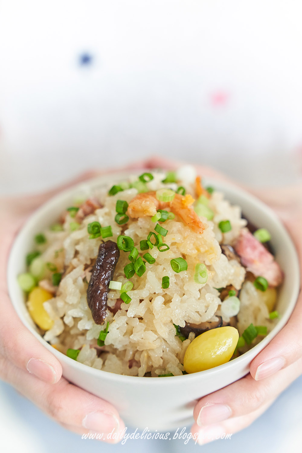 dailydelicious Rice cooker Zongzi Sticky rice dumplings