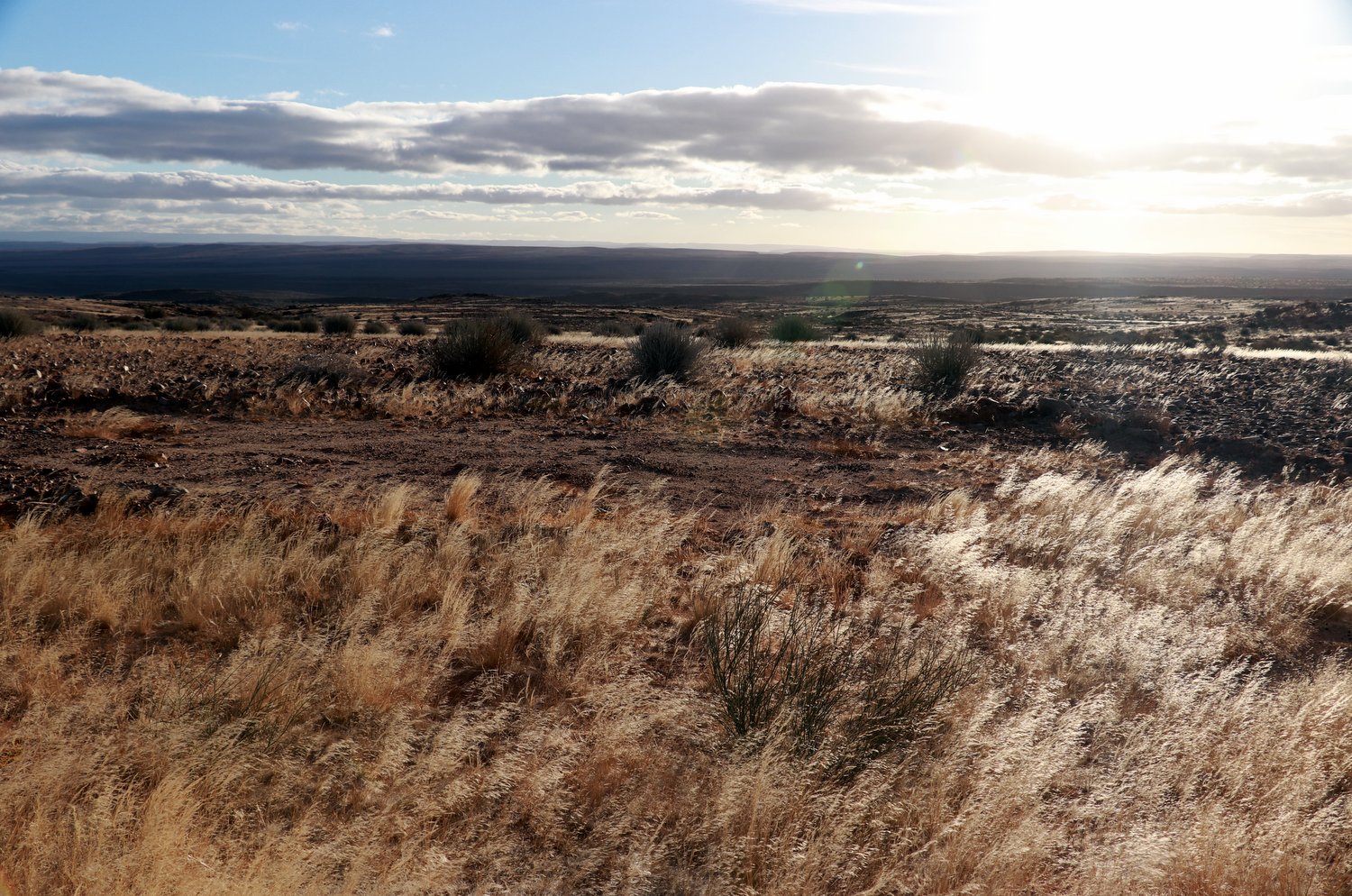 Намибия21: день 3 (часть 3) 