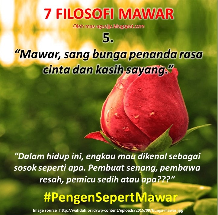 Paling Populer 30+ Gambar Bunga Mawar Kata Romantis - Richa Gambar