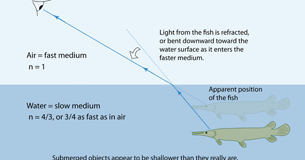 Fish and Refraction