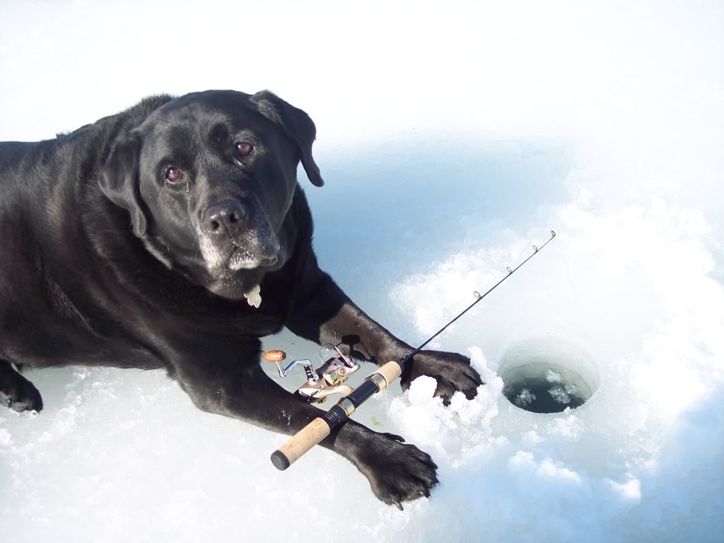 Chautauqua Lake Living Still plenty of time for ice fishing