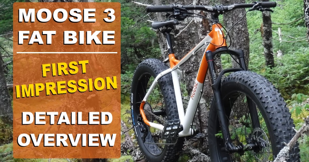 moose fat bike 1