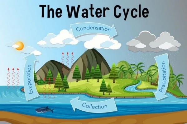 } जल चक्र क्या है जल चक्र क्या है बताइए जल चक्र से आप क्या समझते हैं जल चक्र क्या होती है जल चक्र की परिभाषा क्या है जल चक्र का क्या अर्थ है जल चक्र में गतिविधियों का क्रम क्या है जल चक्र को इंग्लिश में क्या कहते हैं जल चक्र क्या है इन हिंदी जल चक्र क्या है समझाइए