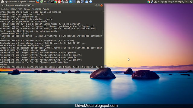 DriveMeca instalando purge-old-kernels en Linux Ubuntu