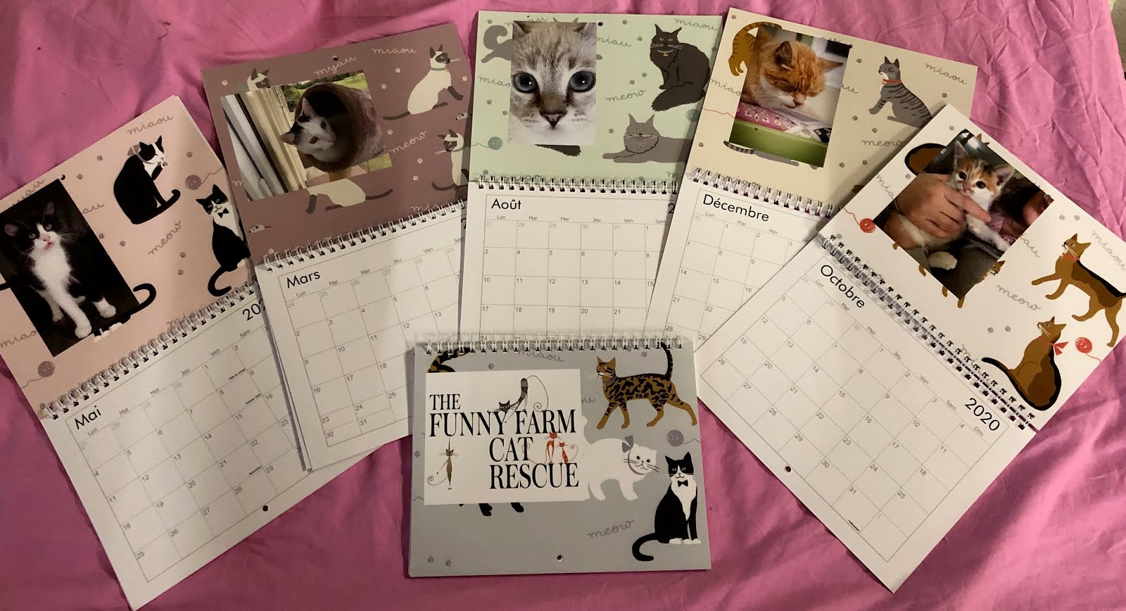 words from the funny farm The Funny Farm Cat Rescue