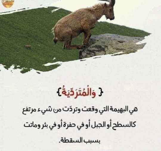 صور لفهم بعض آيات القرآن الكريم