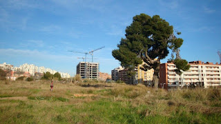 Fuente: Associació Perseu LH Más de siglo y medio en el margen de la terraza