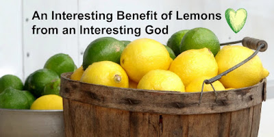 https://biblelovenotes.blogspot.com/2012/12/sweet-lemons.html