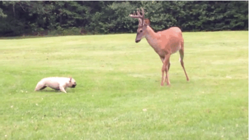 Https Encrypted Tbn0 Gstatic Com Images Q Tbn 3aand9gcqu Cba Wdey Wtrig4dcc4f0jvkx0v4fdwqa Usqp Cau