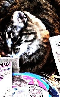 Pet GiftBox: August, 2016 Pet GiftBox: August, 2016