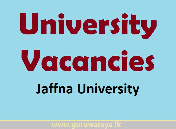 University Vacancies 