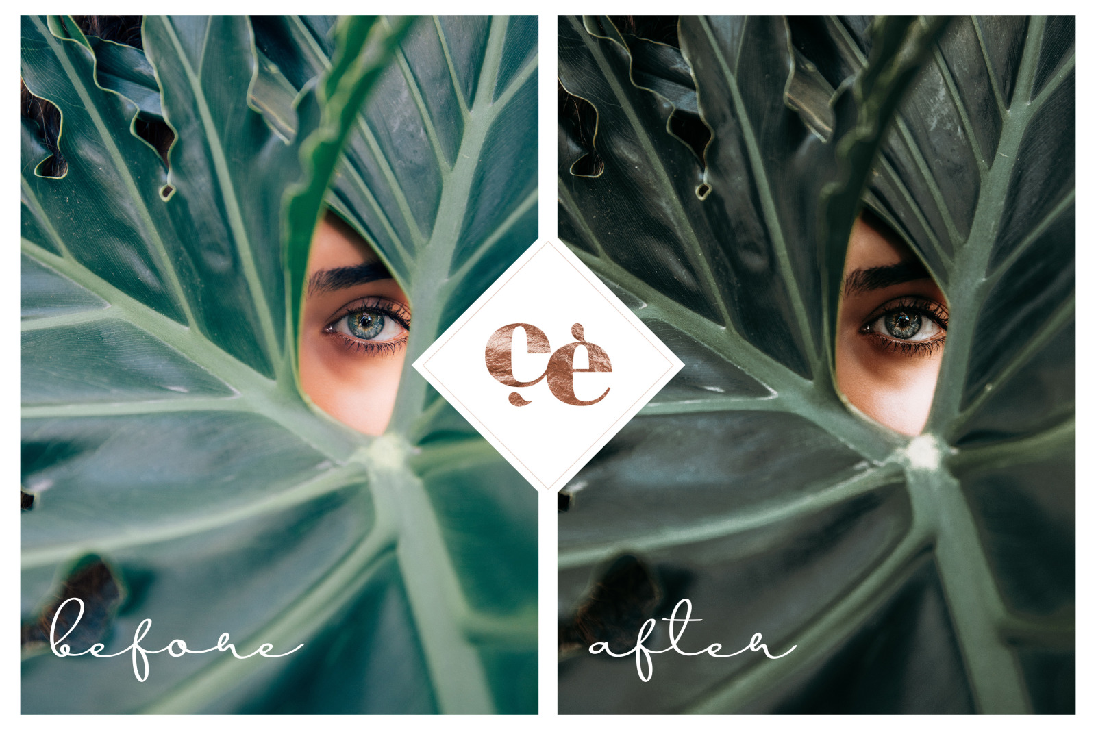 Summer Memories Lightroom Presets (XMP, DNG)