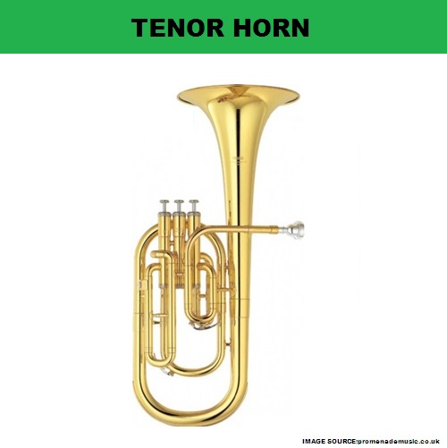 My Homeworks BRASS WIND INSTRUMENTTENOR HORN