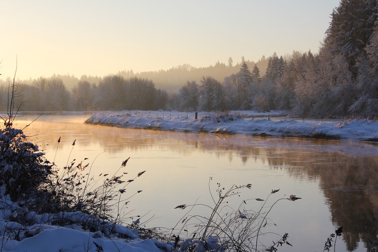 Lewis River, La Center, Washington In Photos