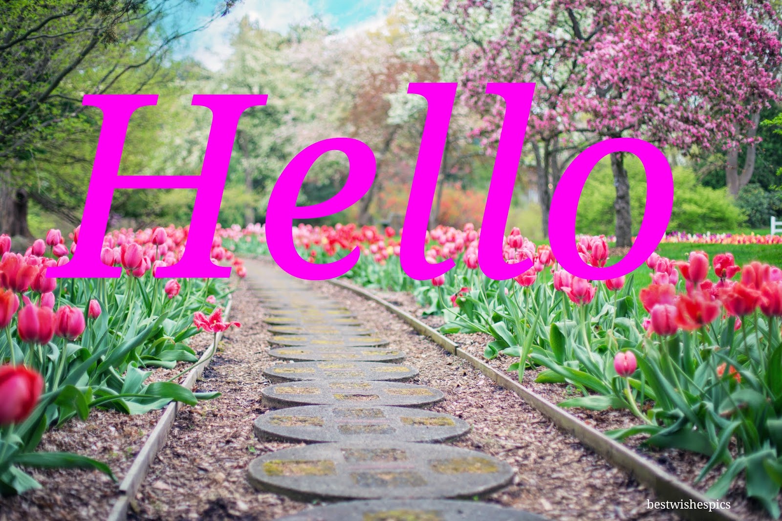 Top 10 Hello Images Greetings Pictures for whatsapp Facebook Good