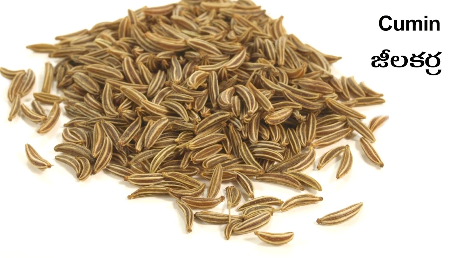 SPICES SUGANDHA DRAVYAALU Picture Dictionary English Telugu