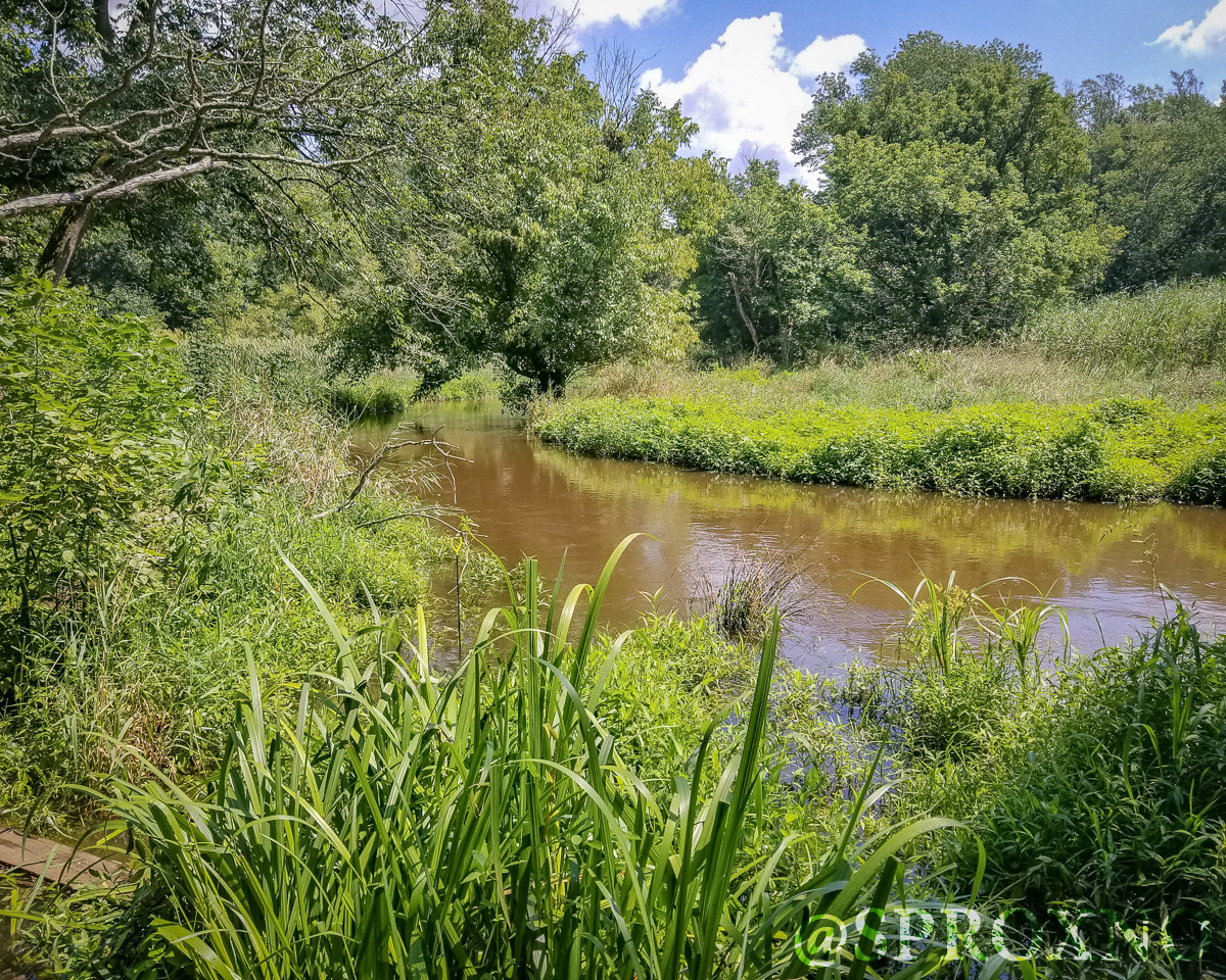 Woods of Wenonah Trail Pushing Myself