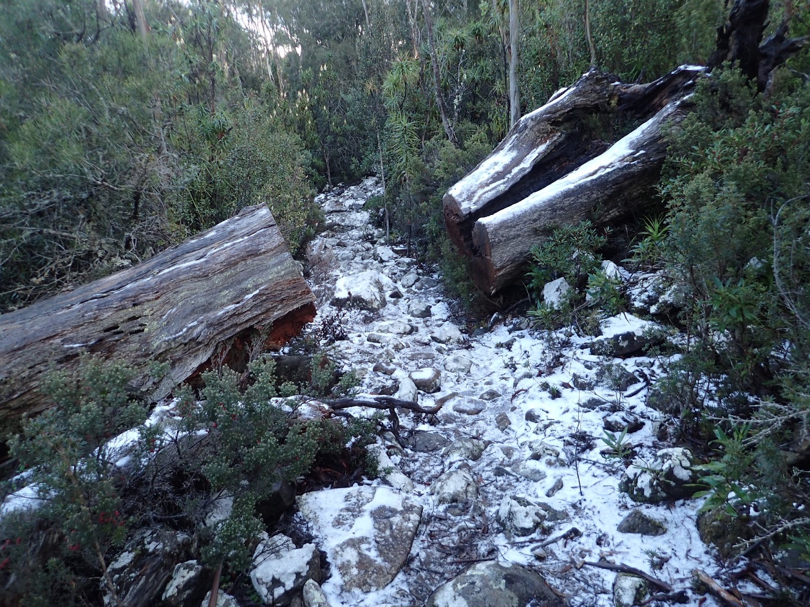 Hiking South East Tasmania: Wellington Falls Circuit