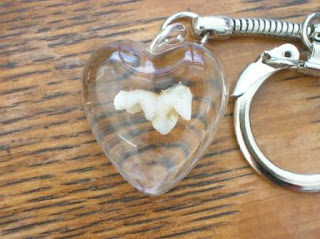 Puppy tooth keyring