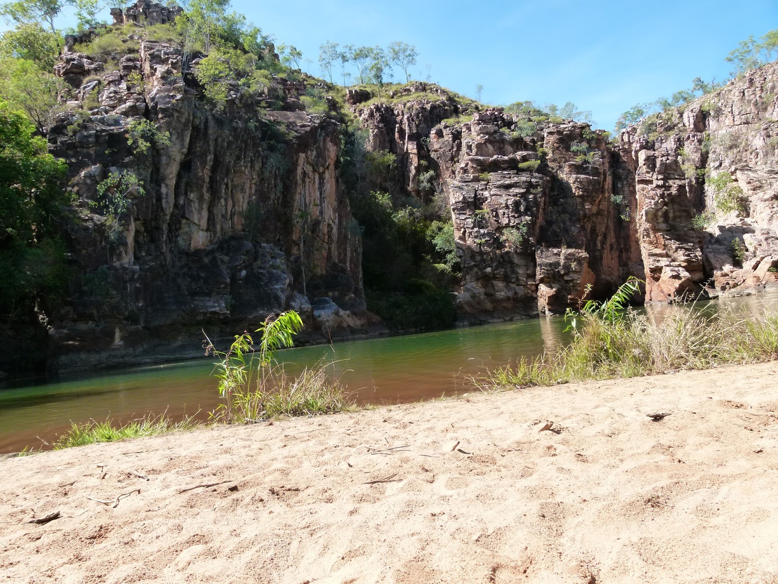 Our outback adventure Adelaide River & Douglas Hot Springs