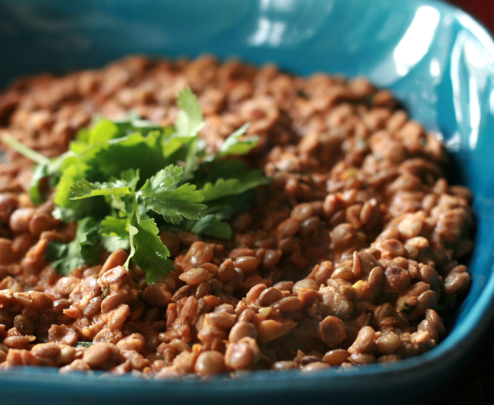 QlinArt Spicy, Creamy Green Lentil Casserole Featured on Savour The