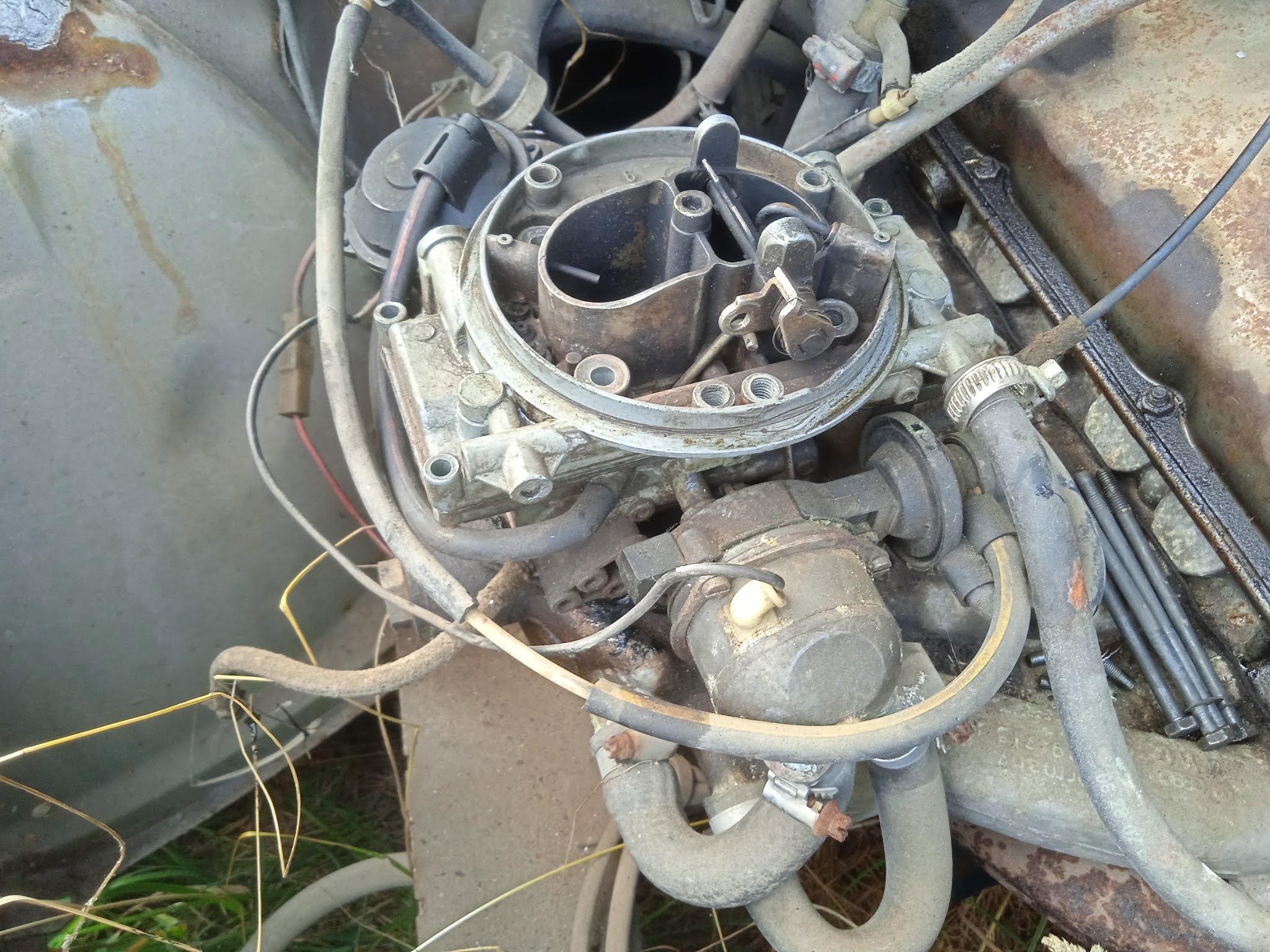 [Pilt: IMG_20210814_185048.jpg]