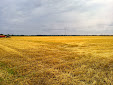 Harvesting in Finland