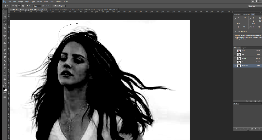 How To do Alpha Channel Masking In to Remove Background with