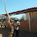 REGIÃO / Produtor Rural de Canabrava colhe mandioca com mais de 3 metros em Mirangaba