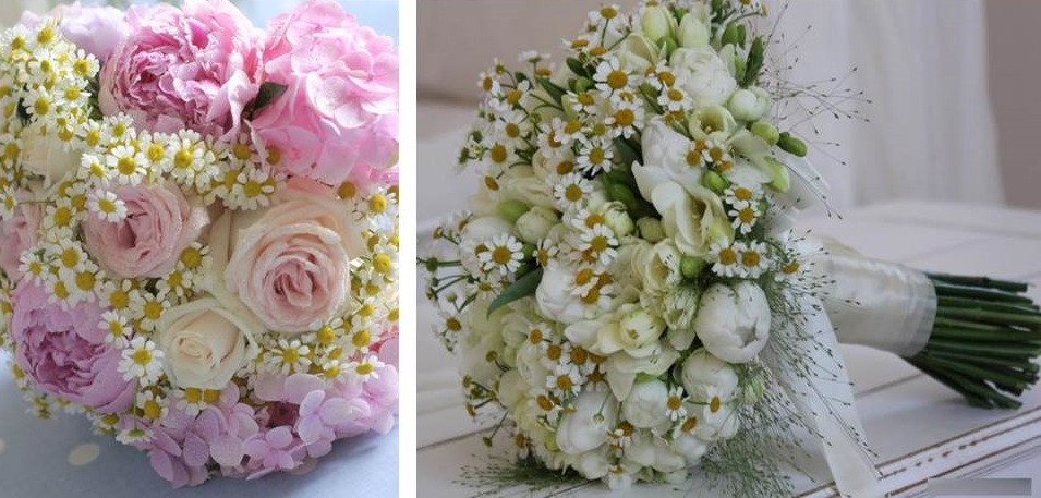 Pin By Aiza Khan On Hoĺđ Ng ŕo Tumblr Photography Flowers