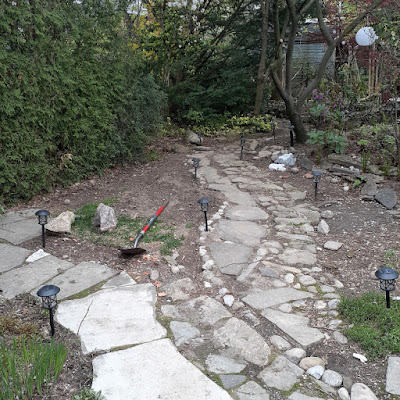 Mount Pleasant East Toronto Garden Makeover Before by Paul Jung--a Toronto Organic Gardener