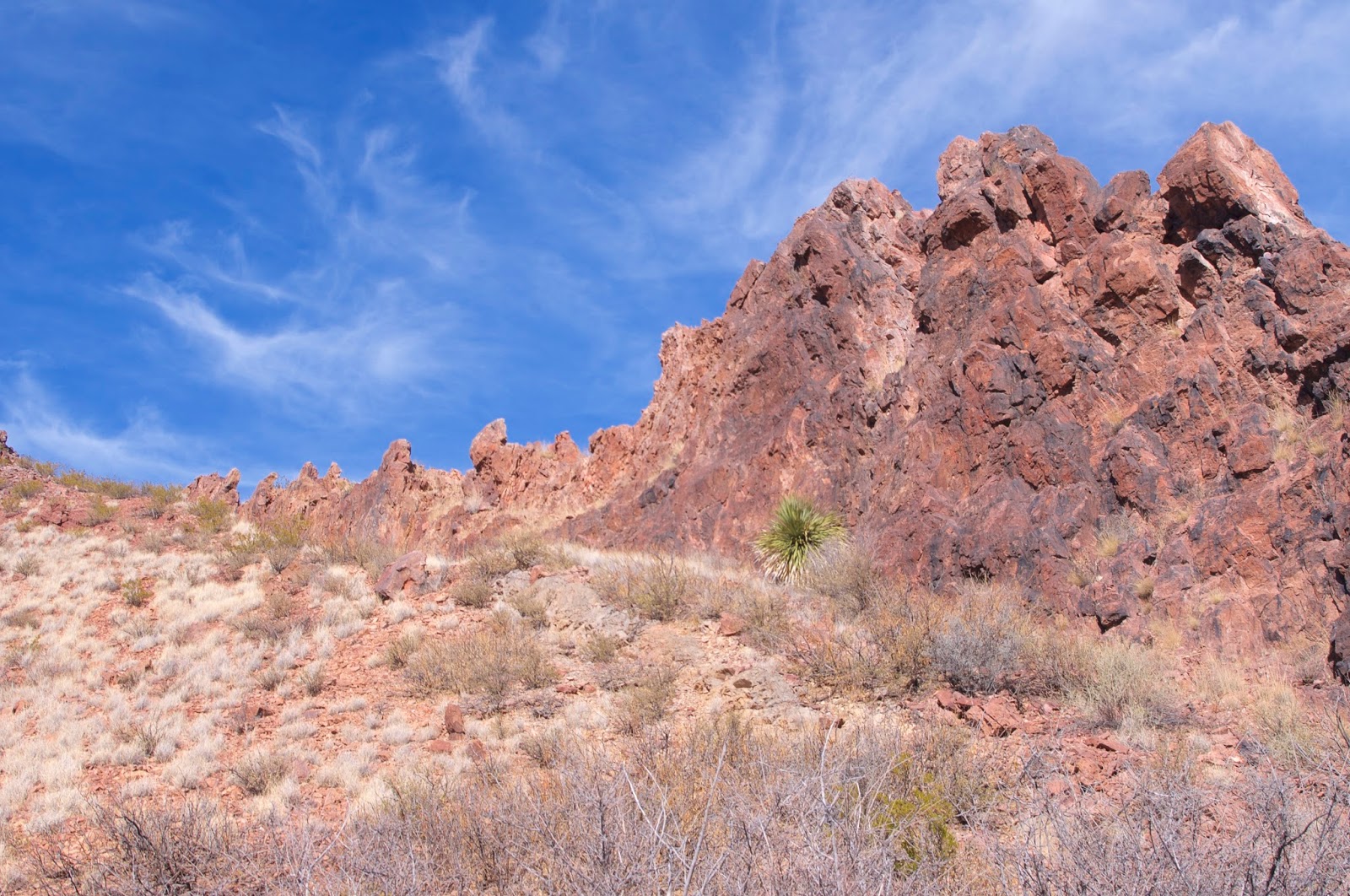 Southern New Mexico Explorer Broad Canyon WildernessRattlesnake Hills