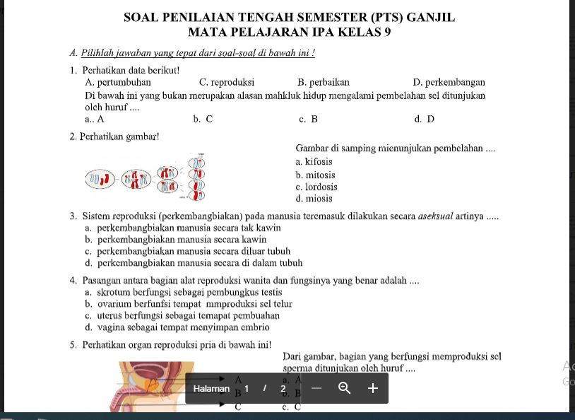 Contoh Soal Uts Ipa Kelas 7 Semester 1 Kurikulum 2013