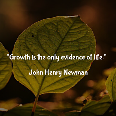 若望·亨利·紐曼名言：Growth is the only evidence of life. - John Henry Newman