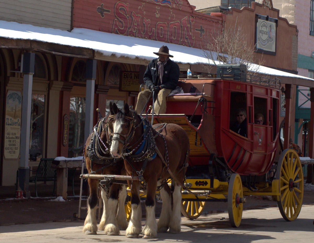 QuiltinCats Hay is For Horses (Benson, AZ)