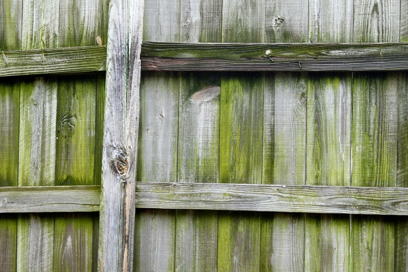 The Fence Builder! Why Wood Fences Deteriorate!