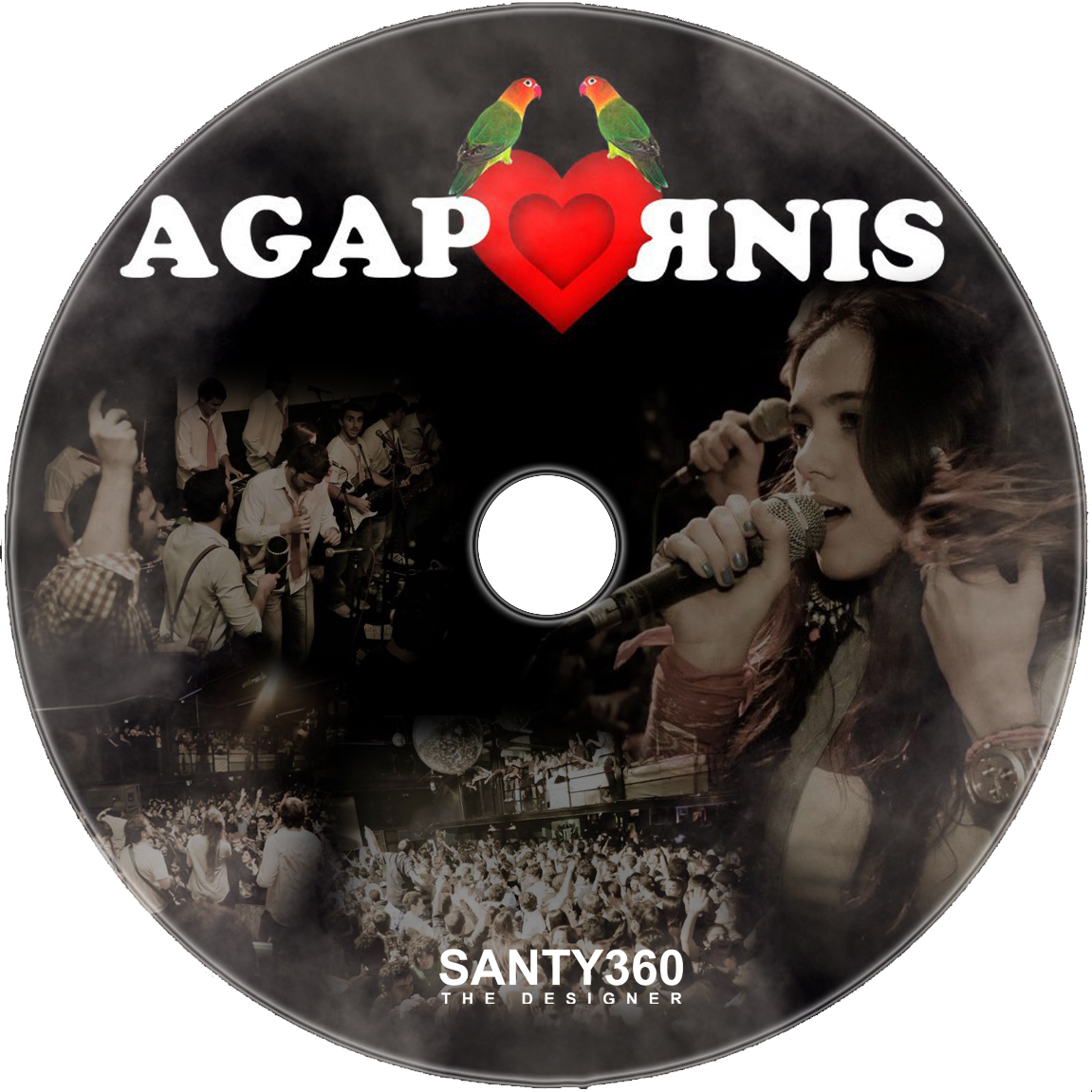 Agapornis+-+Disco+(SANTY360).jpg