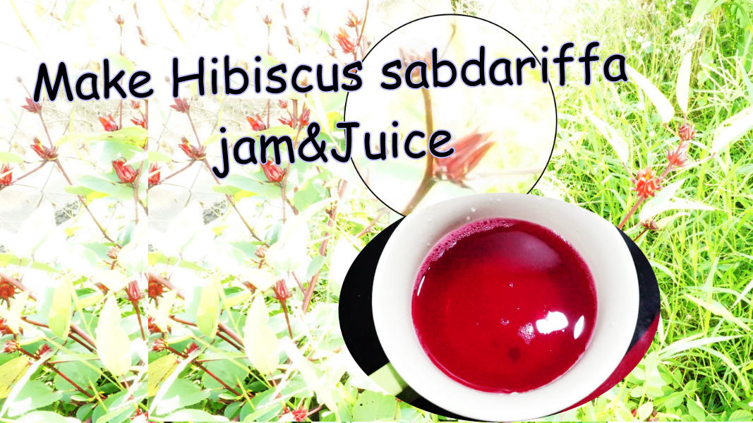 GREAT SKINandLIFE HOW TO MAKE HIBISCUS SABDARIFFA JAM AND JUICE