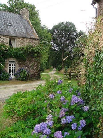 This french countryside style villa is stunning with a flowery, green driveway