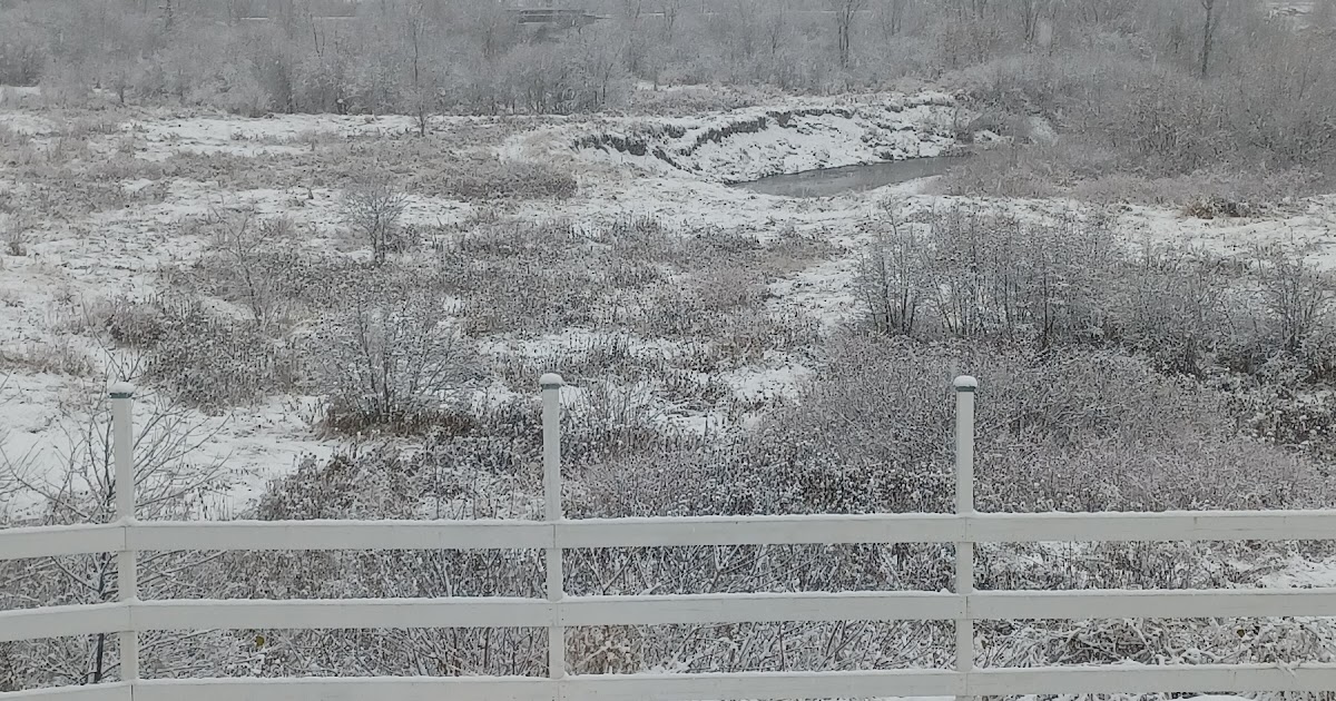 The Dividend Girl in my TFSA portfolio Stelco Holdings Inc. (STLC)!