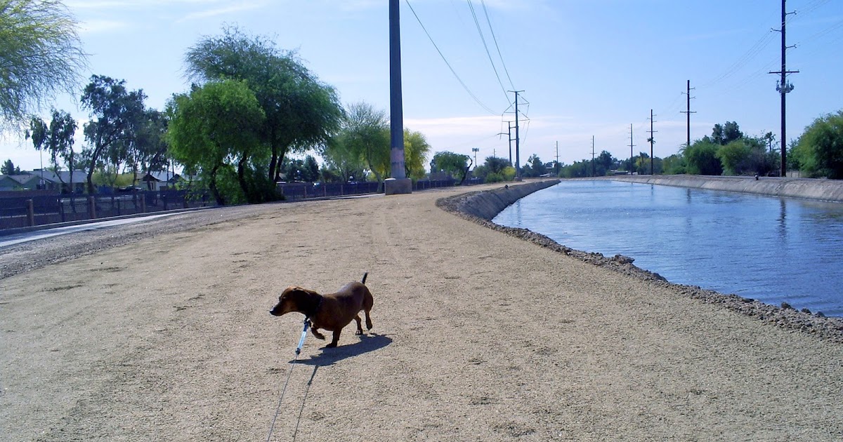 History Adventuring The difference between the canals of Phoenix, and