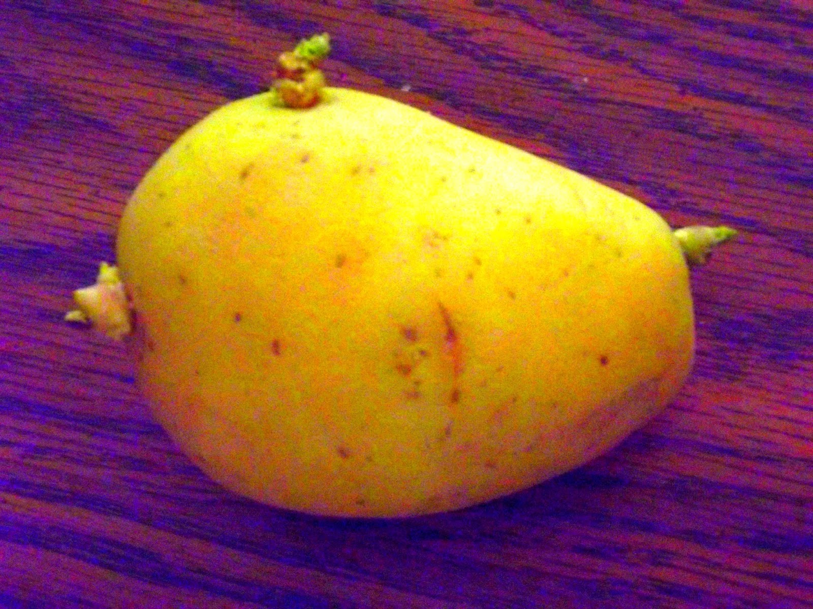 Mossy Feet Books Sample Chapter Gardener's Guide to Growing Potatoes