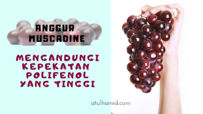 Anggur Muscadine: Anggur Yang Luar Biasa