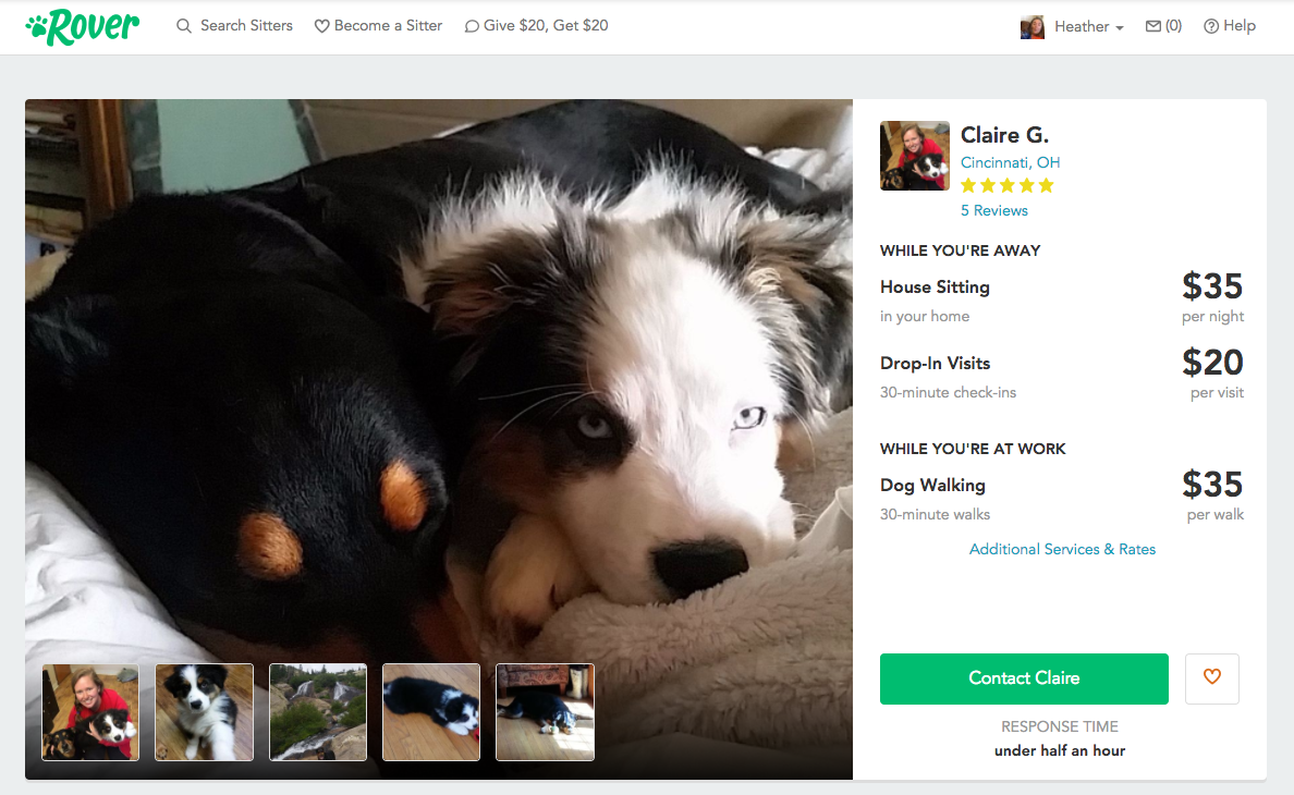 Rover Com Reviews >> Service Review Rover Com Pet Sitting The Food Hussy Rover Com Reviews >> Service Review Rover Com Pet Sitting The Food Hussy