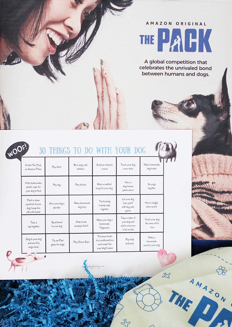 30 Fun Things to Do at Home with Your Dog Sunny Day Family