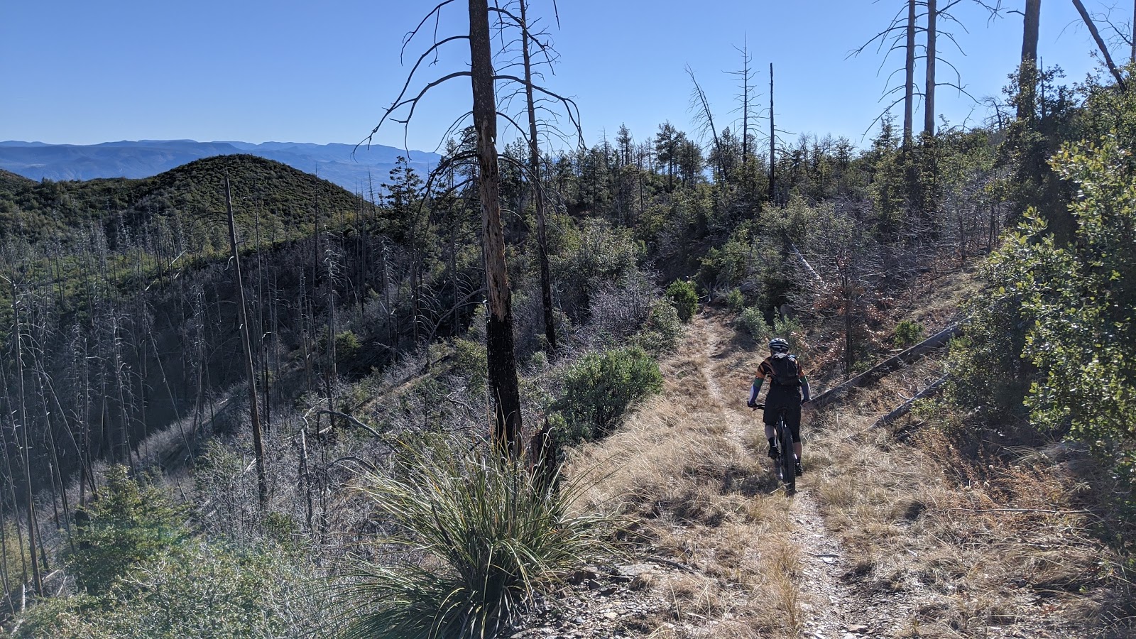 My Two Schillingsworth Cane Springs Loop