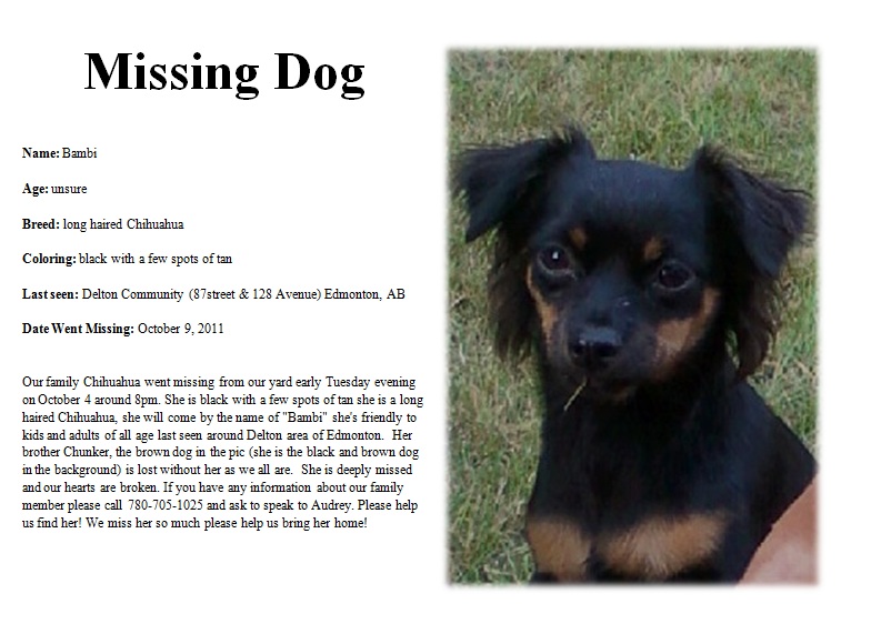 Anything Knitted and Crocheted: Missing Dogs....
